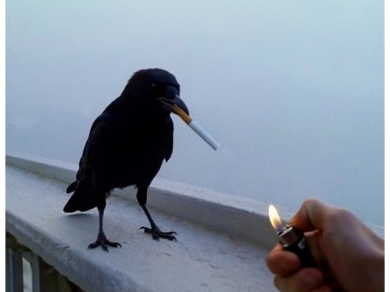 White Wine & Adderall (Single)