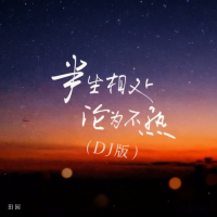 半生相处 沦为不熟 (DJ版) (Single)