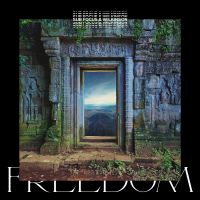 Freedom (Sub Focus x Wilkinson x High Contrast Remix) (Single)