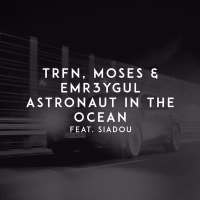 Astronaut in the Ocean (Single)