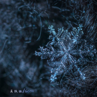 期待的不是雪 (说唱版) (Single)