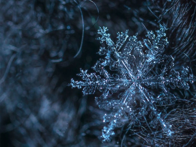 期待的不是雪 (说唱版) (Single)