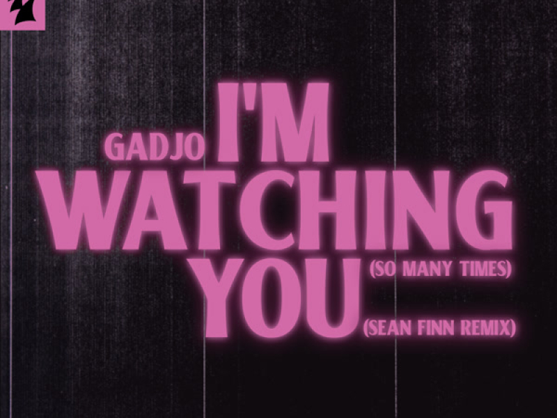 I'm Watching You (So Many Times) (Sean Finn Remix) (Single)
