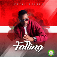 Falling (Single)