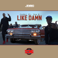 Like Damn (feat. Dre B) (Single)