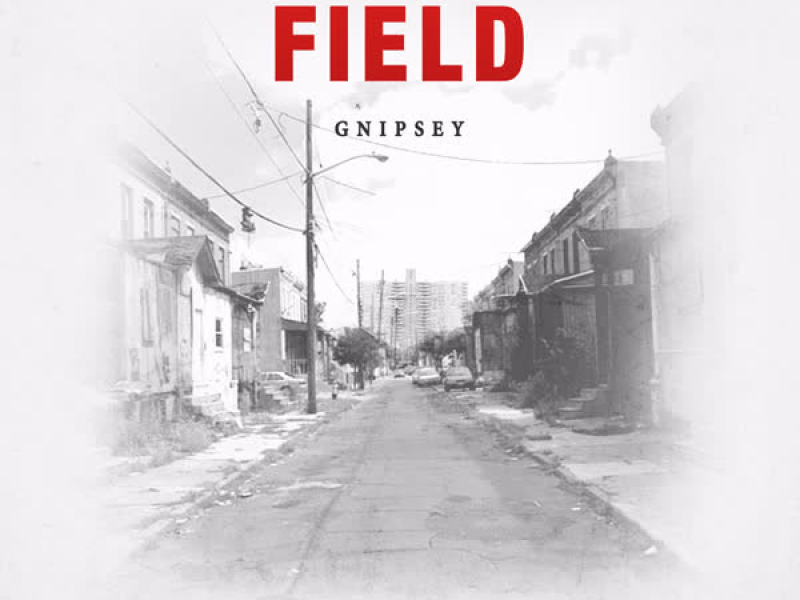 Field (Single)