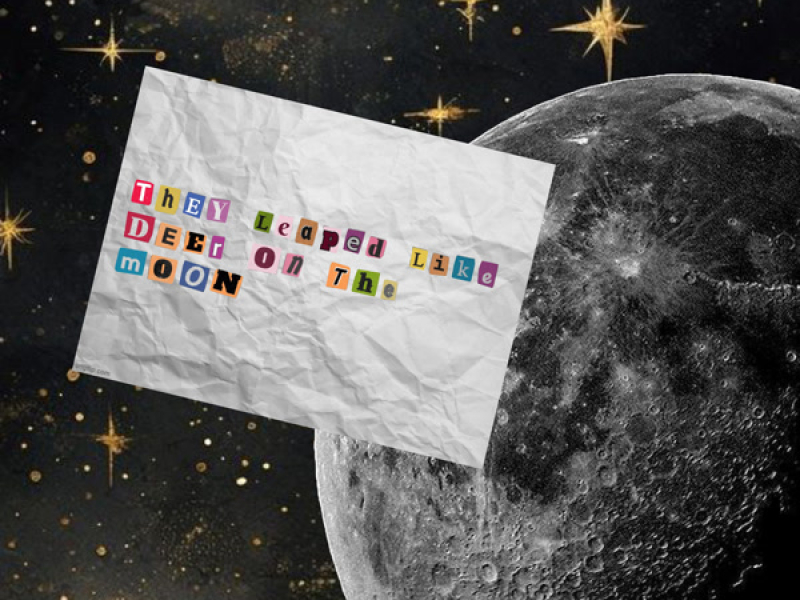 They Leaped Like Deer On The Moon (Single)