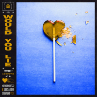 Would You Lie (Acoustic Version) (Single)
