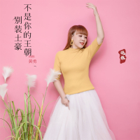 不是你的王朝别装土豪 (温柔版) (Single)