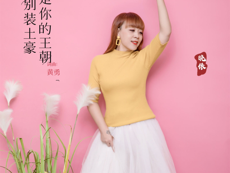 不是你的王朝别装土豪 (温柔版) (Single)