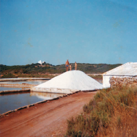 Tonada des saliners (Single)