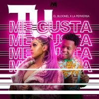 Tu Me Gusta (Single)