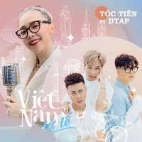 Việt Nam Tử Tế (Single)