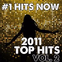 2011 Top Hits Vol. 2