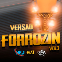 Versao Forrozin Vol3 (EP)
