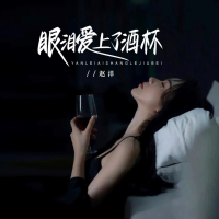 眼泪爱上了酒杯 (DJBanan版) (Single)