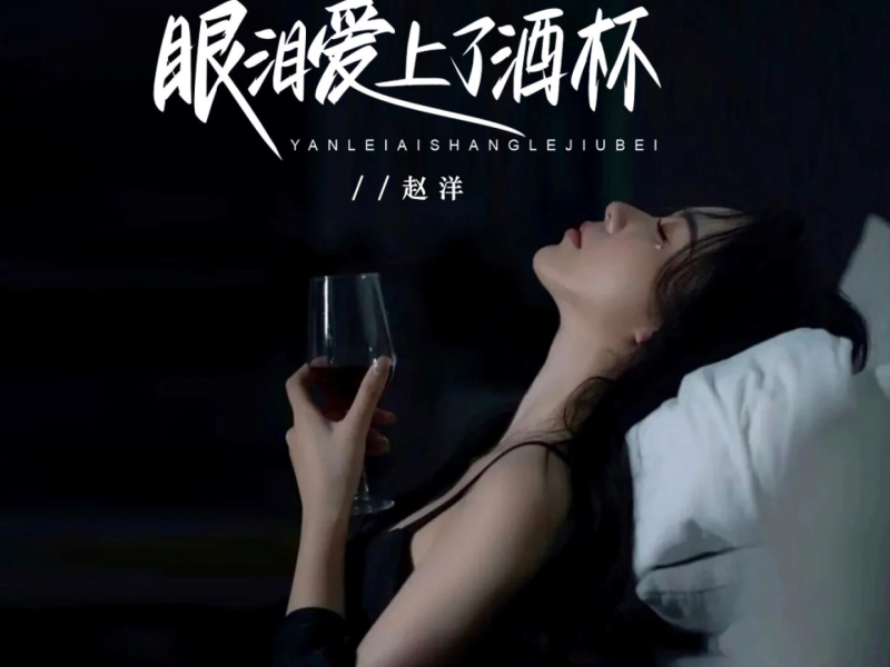 眼泪爱上了酒杯 (DJBanan版) (Single)