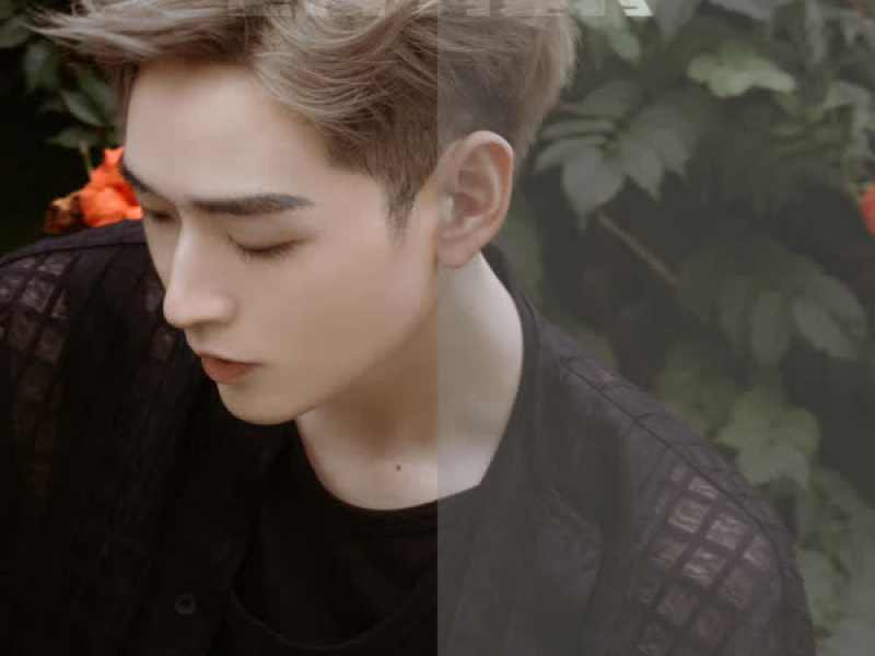 要么 (DJ楠哈哈版) (Single)