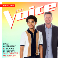 She Drives Me Crazy (The Voice Performance) (Single)