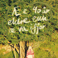 Nok en sommer (Single)