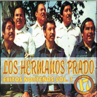 Exitos Nortenos (Vol. 1)