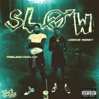 Slow (Single)