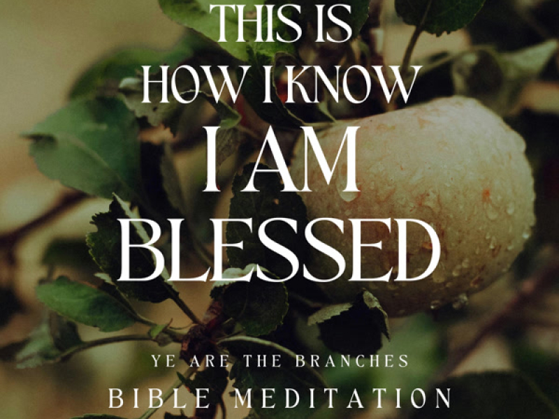 This is how I know I am blessed (Bible Meditation)
