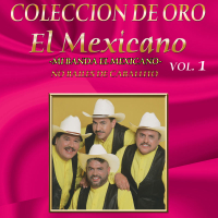 Coleccíon De Oro, Vol. 1: No Bailes De Caballito