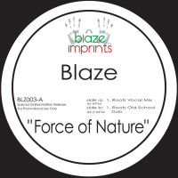 Force of Nature (The Blaze Mixes)