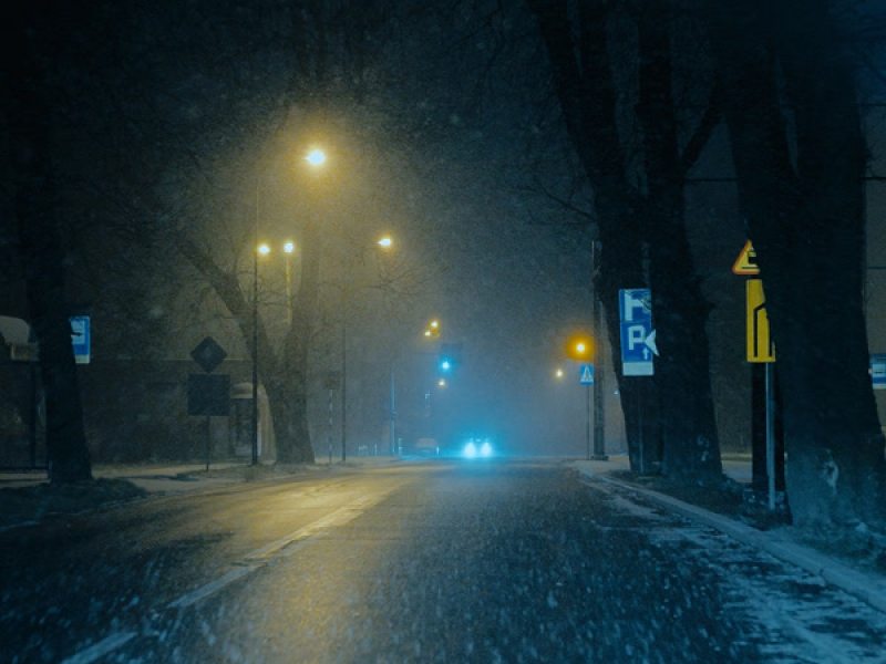 say bye now because i won’t be here tomorrow (Single)