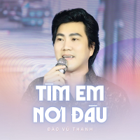Tìm Em Nơi Đâu (Single)