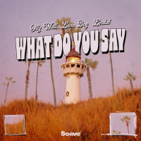 What Do You Say (Single)