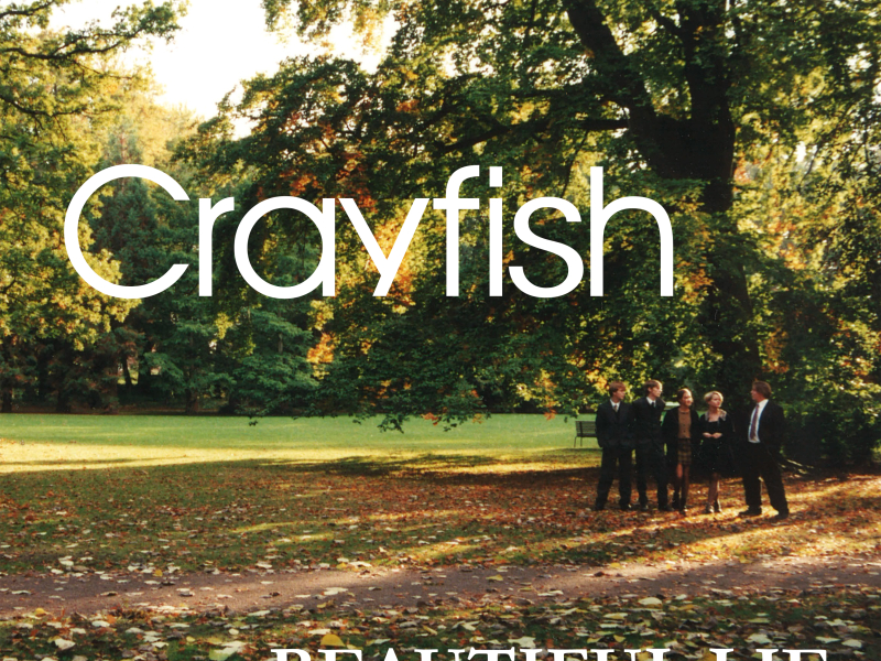 Beautiful Lie (Single)