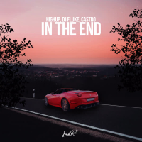 In the End (Single)
