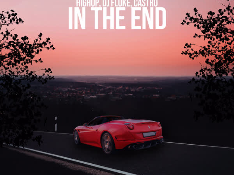 In the End (Single)