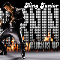 Burnin Up [Remix] (A Tribute to The King - Elvis Presley) (Foundation Elvis House Edit) (Single)