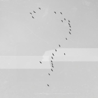 Mình Là Của Nhau Đến Bao Giờ (EP)