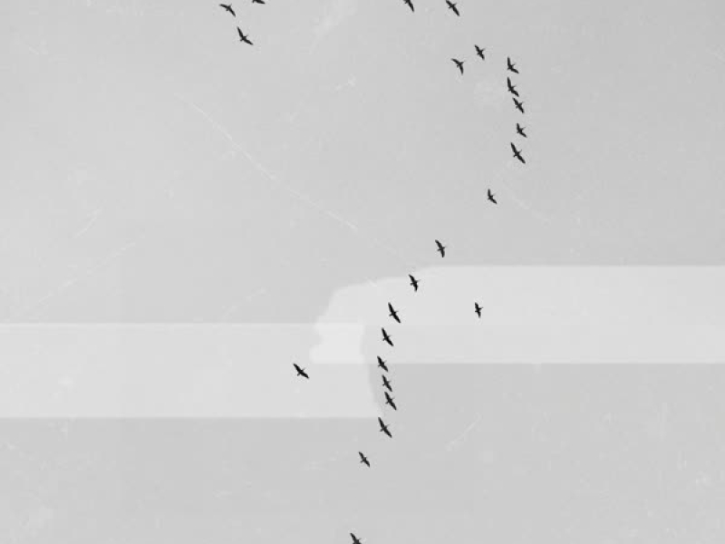 Mình Là Của Nhau Đến Bao Giờ (EP)