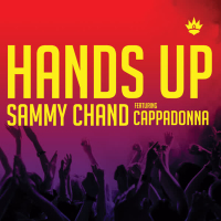 Hands Up (Single)