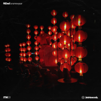 Lunar New Year (Single)