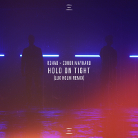 Hold on Tight (Lux Holm Remix) (Single)