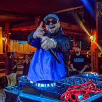 Gata, Chique Charmosa (Single)