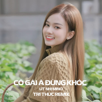 Cô Gái À Đừng Khóc (Trí Thức Remix) (Single)