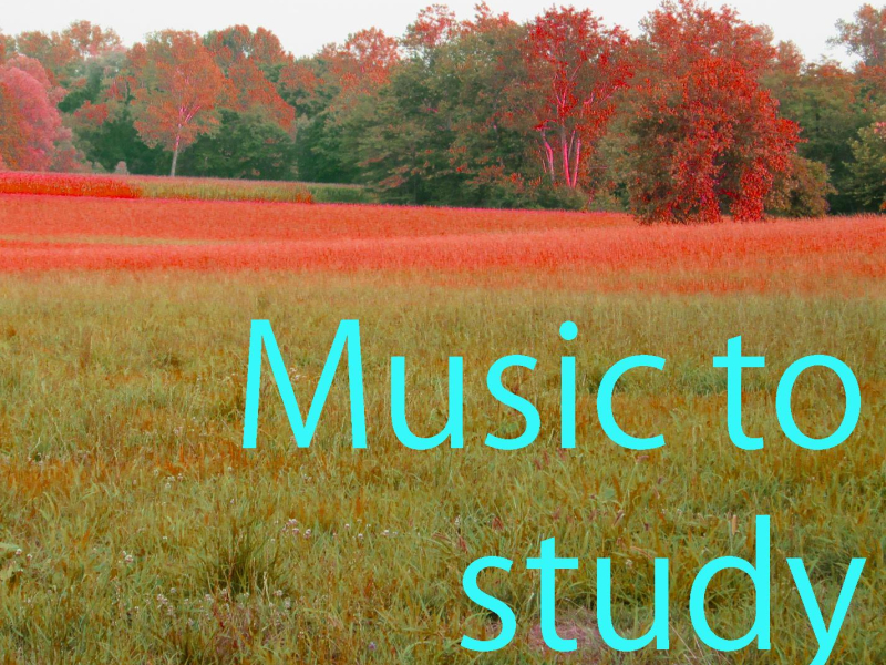 Music to Study Vol. 2 (Single)