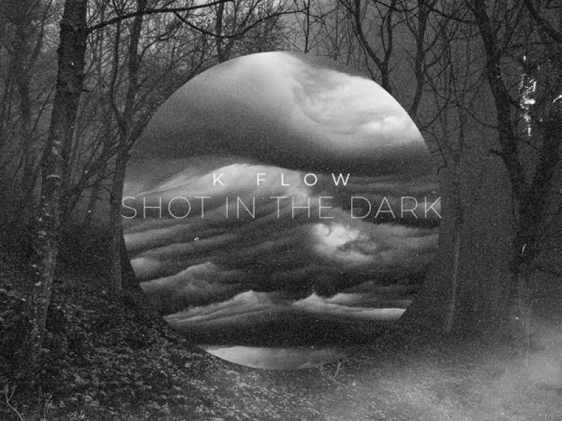 Shot In The Dark (Single)