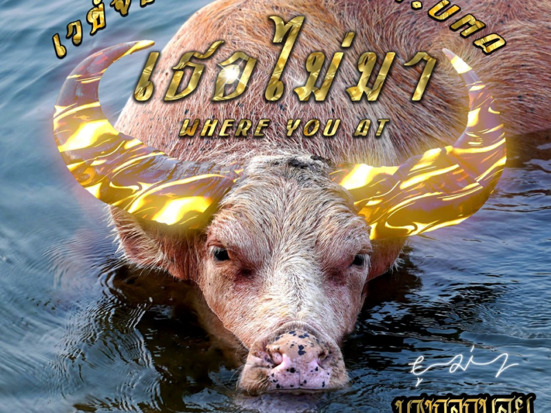 เธอไม่มา (Single)