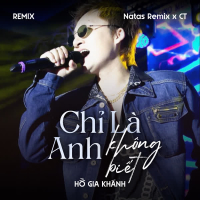 Chỉ Là Anh Không Biết (Remix) (Single)