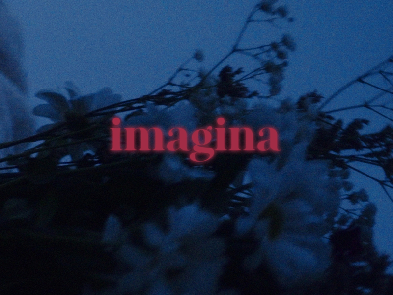 Imagina