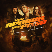 VOU APAGAR SEU FOGO (Single)