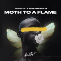 Moth To A Flame (Single)